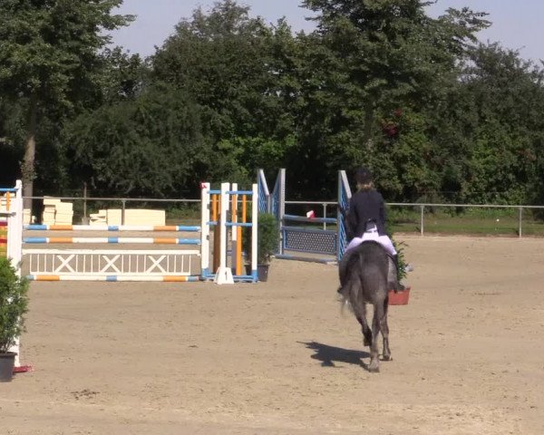 Reitturnier Appelhülsen 2015