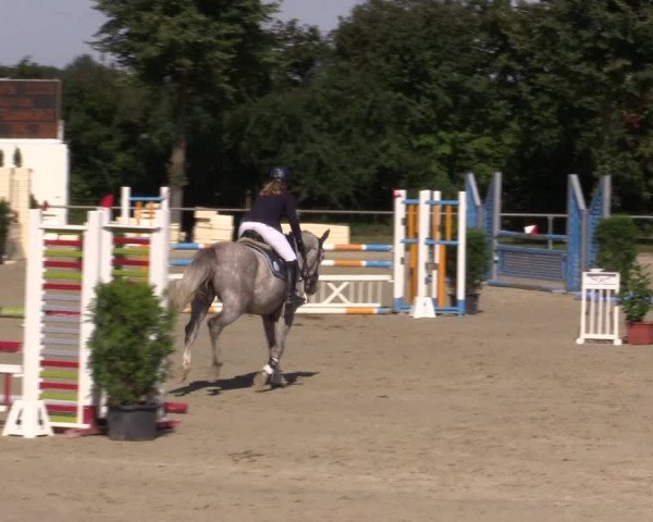 Reitturnier Appelhülsen 2015