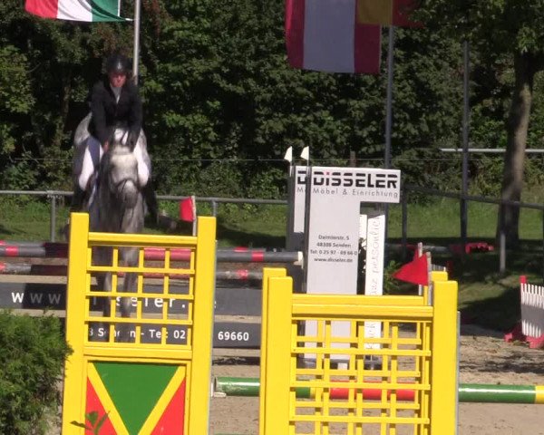 Reitturnier Appelhülsen 2015