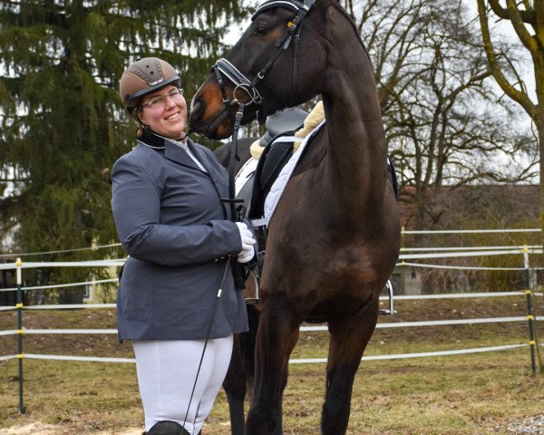 horse Tomaj (Hungarian Warmblood, 2009, from Justboy)