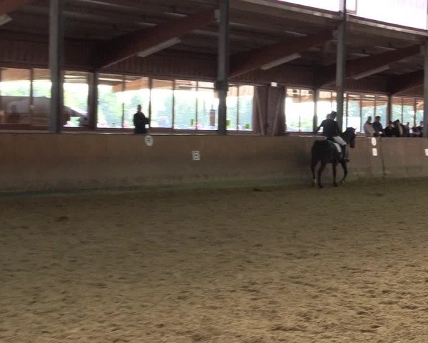 Reitturnier Appelhülsen 2015