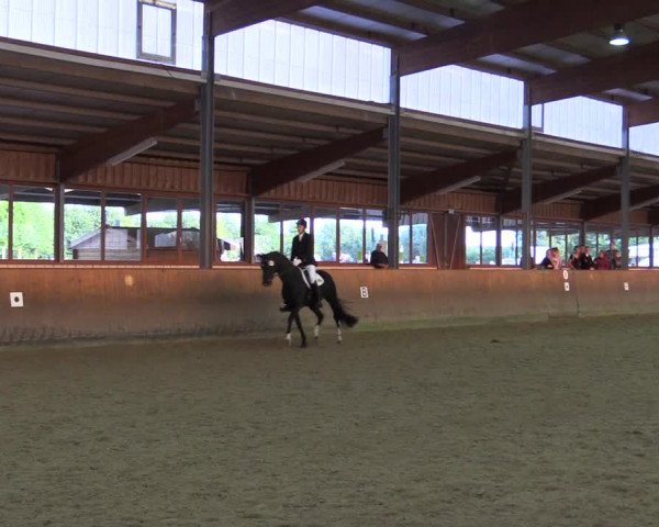 Reitturnier Appelhülsen 2015