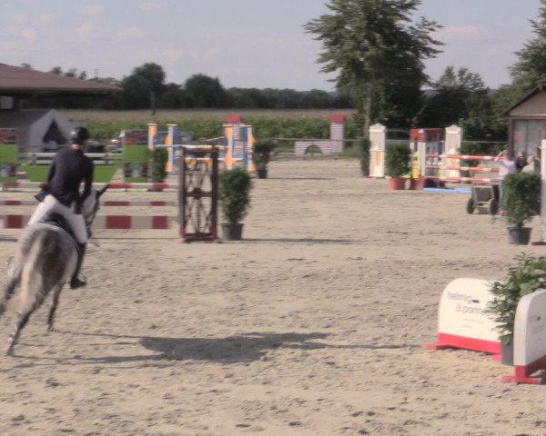 Reitturnier Appelhülsen 2015