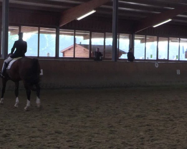 Reitturnier Appelhülsen 2015