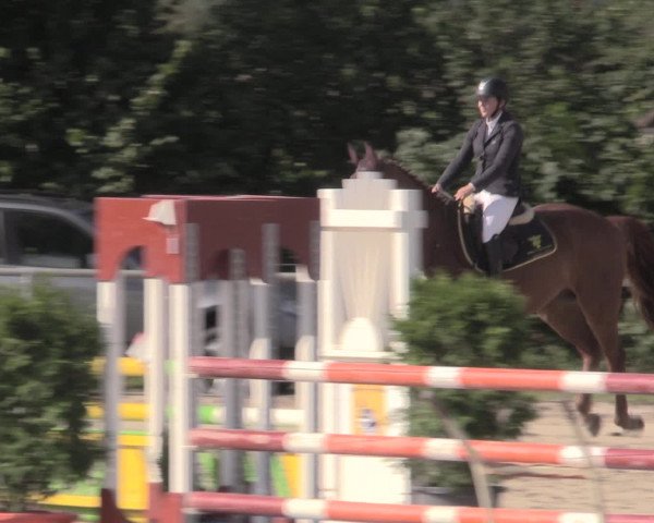 Reitturnier Appelhülsen 2015