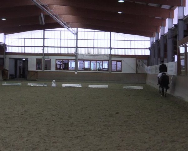 Reitturnier Appelhülsen 2015