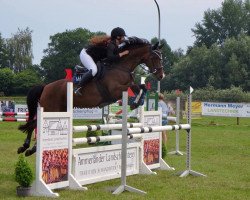 broodmare Sweet Bambi (Oldenburg, 2009, from Stalypso)