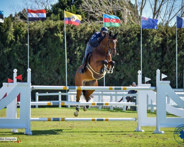 jumper Glamour Girl (Hanoverian, 2013, from Graf Top)