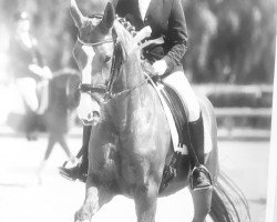 dressage horse White Lady 79 (Hanoverian, 2004, from Wolkenstein II)