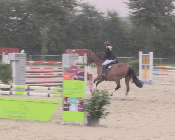 Reitturnier Appelhülsen 2015
