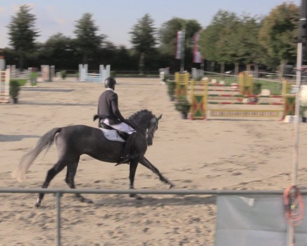 Reitturnier Appelhülsen 2015