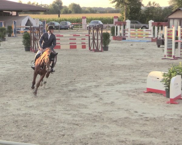 Reitturnier Appelhülsen 2015