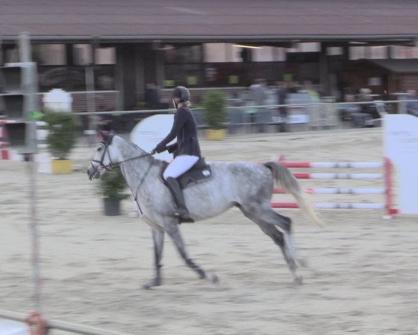 Reitturnier Appelhülsen 2015