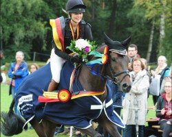 jumper Amazing Prince TSF (Trakehner, 2011, from Prince Patmos)