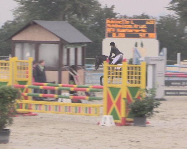 Reitturnier Appelhülsen 2015