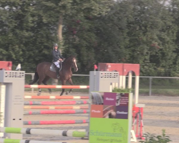 Reitturnier Appelhülsen 2015