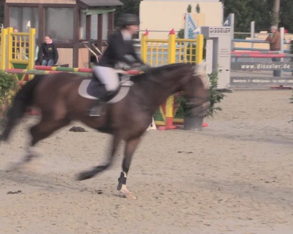 Reitturnier Appelhülsen 2015