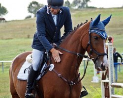 broodmare Adania 4 (German Sport Horse, 2013, from No Limit)