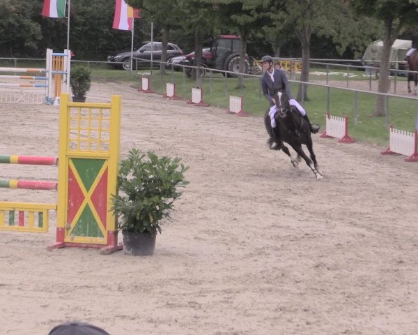 Reitturnier Appelhülsen 2015