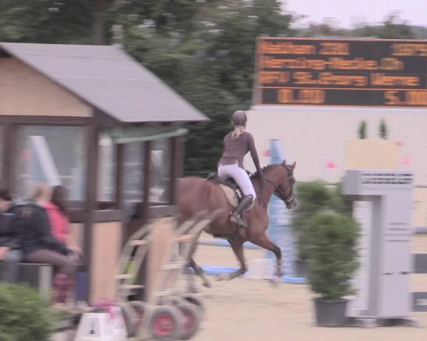 Reitturnier Appelhülsen 2015