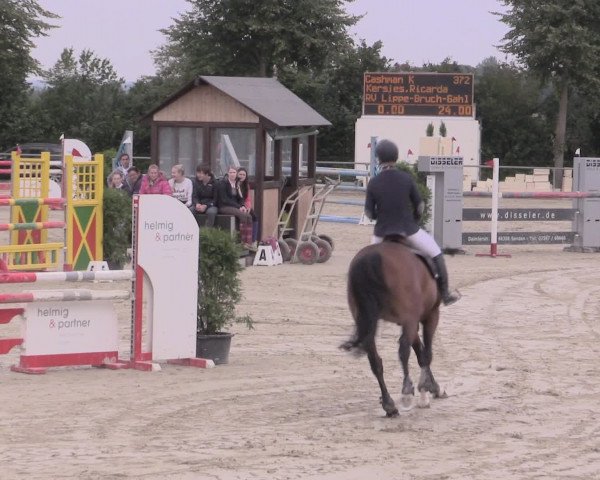 Reitturnier Appelhülsen 2015