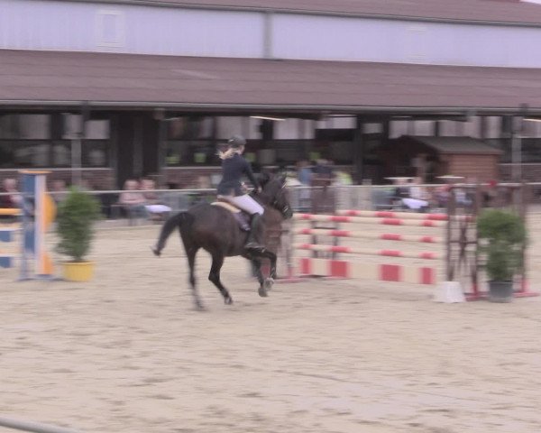 Reitturnier Appelhülsen 2015