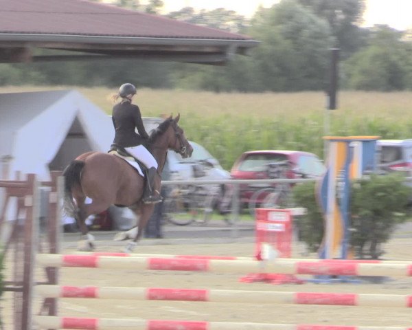 Reitturnier Appelhülsen 2015