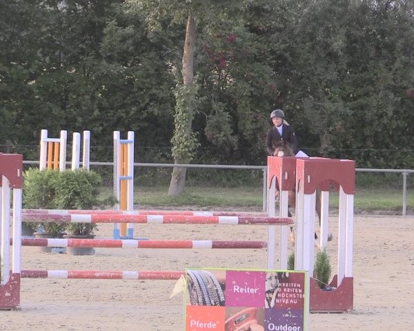 Reitturnier Appelhülsen 2015