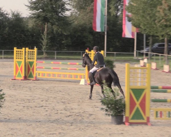 Reitturnier Appelhülsen 2015