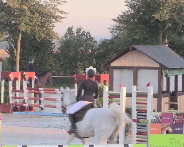 Reitturnier Appelhülsen 2015
