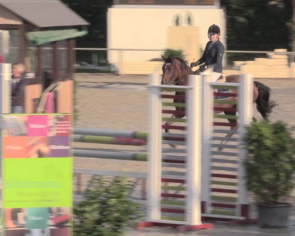 Reitturnier Appelhülsen 2015