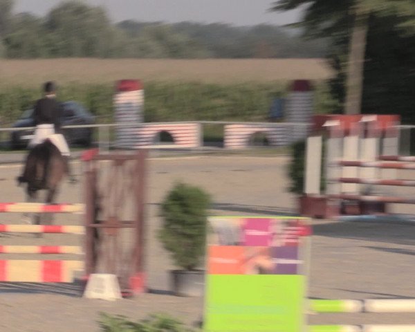 Reitturnier Appelhülsen 2015