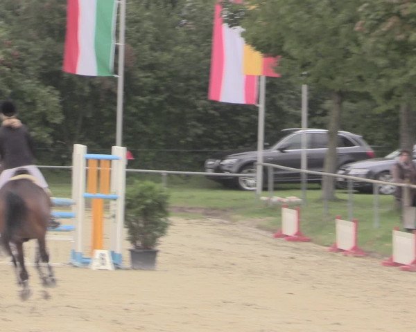 Reitturnier Appelhülsen 2015