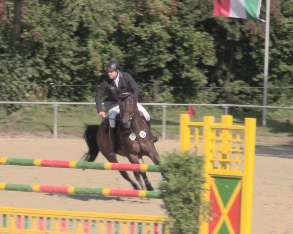 Reitturnier Appelhülsen 2015