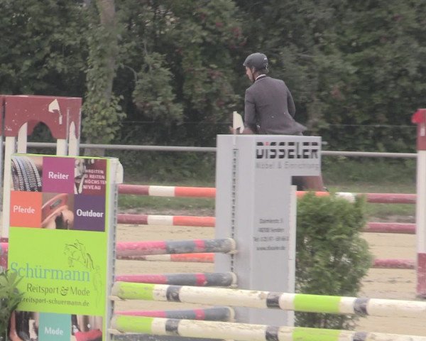 Reitturnier Appelhülsen 2015