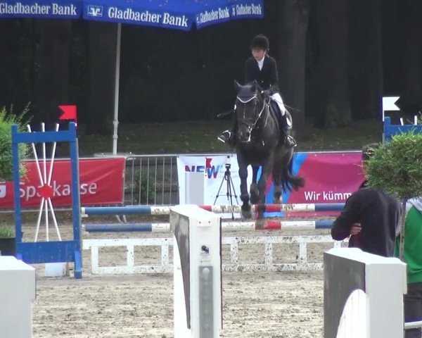 Wickrather Reitertage 2015