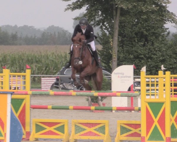Reitturnier Appelhülsen 2015
