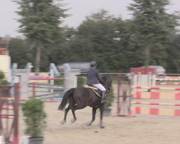 Reitturnier Appelhülsen 2015