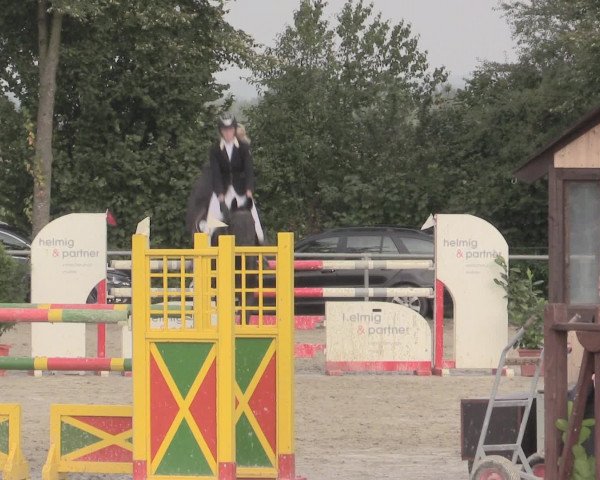 Reitturnier Appelhülsen 2015