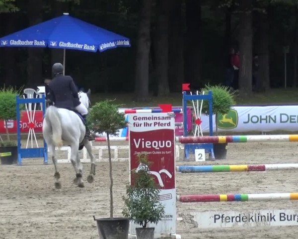 Wickrather Reitertage 2015