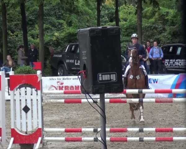 Wickrather Reitertage 2015