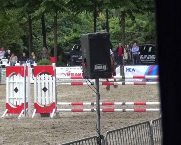 Wickrather Reitertage 2015