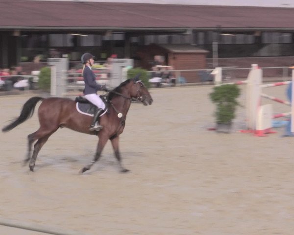 Reitturnier Appelhülsen 2015