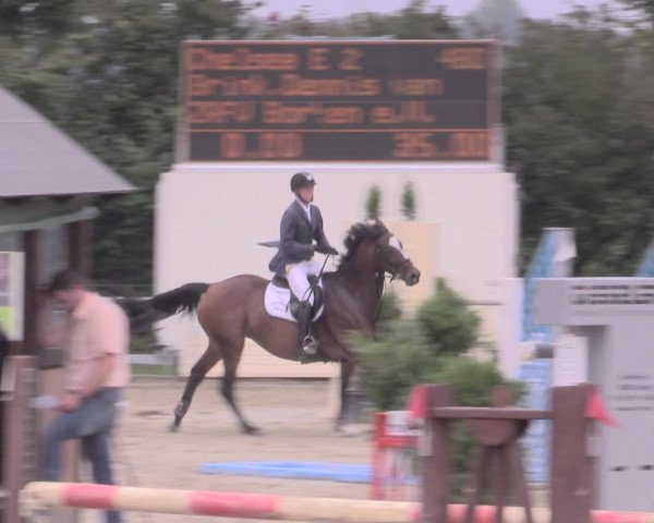 Reitturnier Appelhülsen 2015