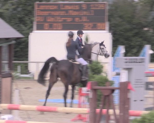 Reitturnier Appelhülsen 2015