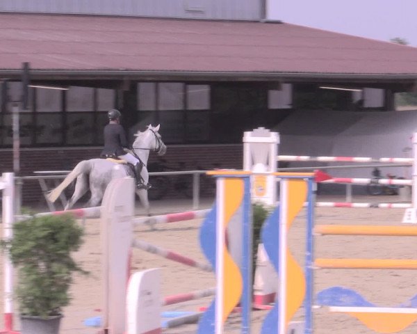 Reitturnier Appelhülsen 2015