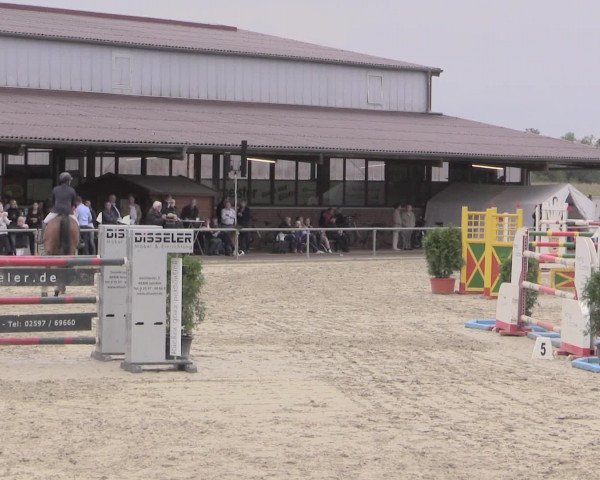Reitturnier Appelhülsen 2015