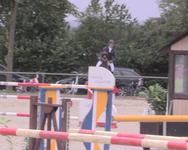 Reitturnier Appelhülsen 2015
