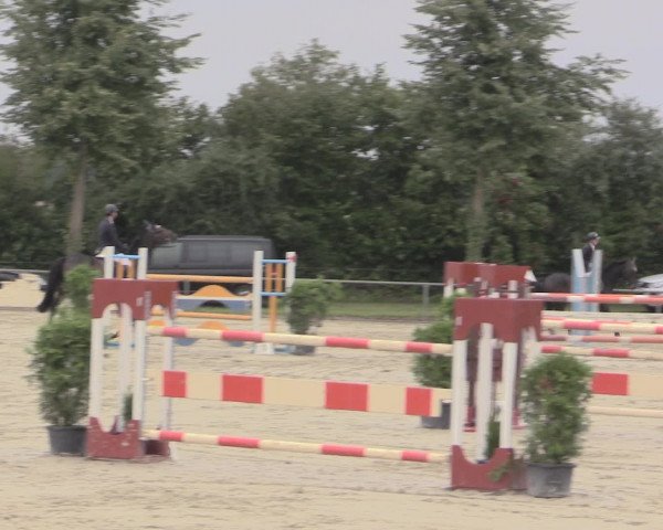 Reitturnier Appelhülsen 2015