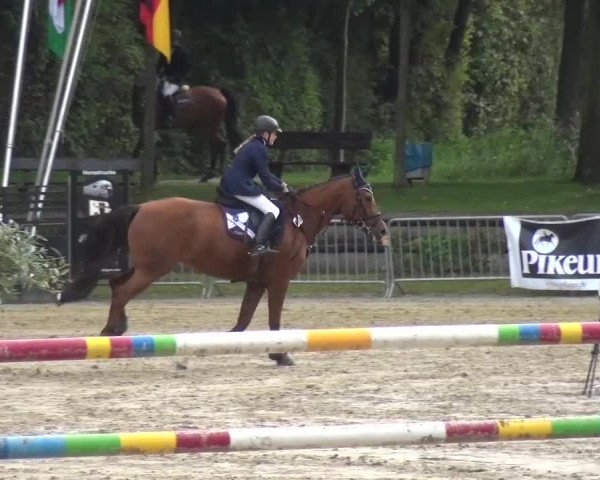 Wickrather Reitertage 2015